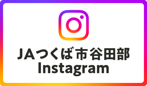 インスタグラム